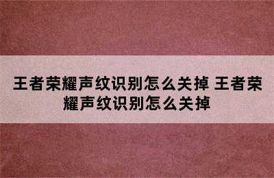 王者荣耀声纹识别怎么关掉 王者荣耀声纹识别怎么关掉